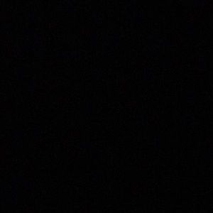 Meet your Posher, Maggie